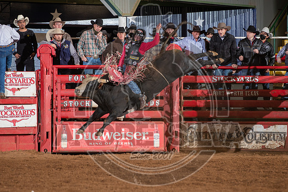 2021_Jan_01_ABBI_179
