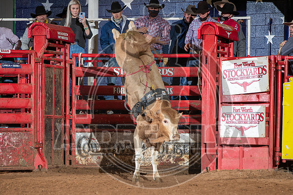 2021_Jan_01_ABBI_141