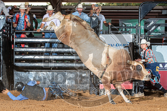 2020_Aug_29_ABBI_070