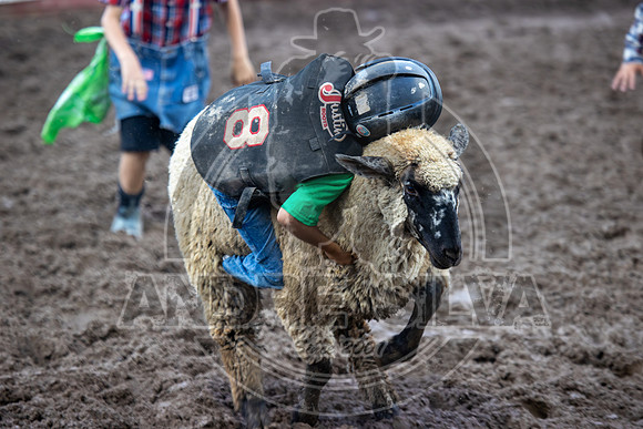 2024 Eagle_Mutton busting_2438-AndreSilva