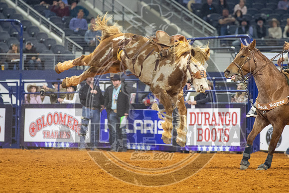 2021_TheAmerican_Steer_Wrestling_Sage Newman_AndreSilva_309