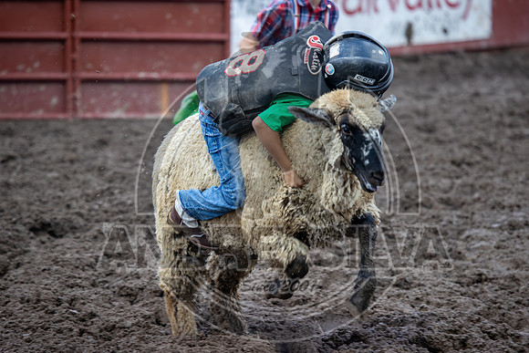2024 Eagle_Mutton busting_2437-AndreSilva
