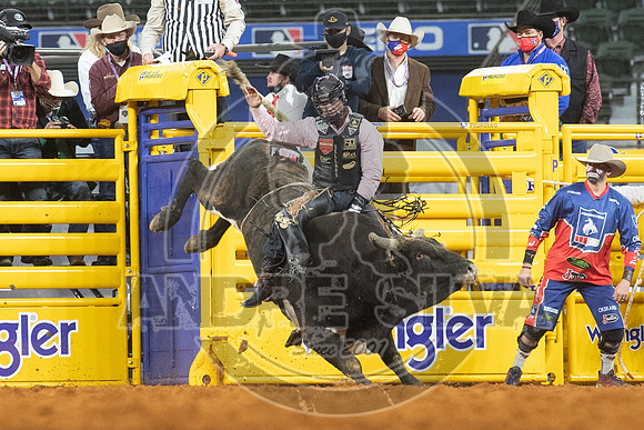 2020_Dez_06_WNFR_Bull_Riding_Clayton Sellars_490