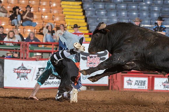 Media UBF 023