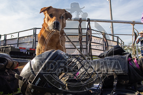 2021_May_08_PBR_Cassvile_TX_200