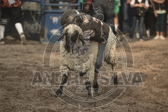24_July_24_Eagle_CO_086