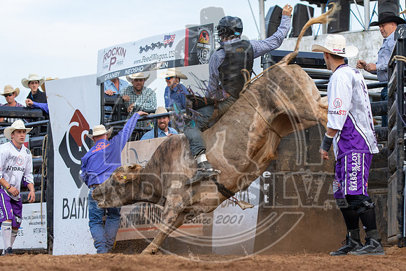 2021_May_08_PBR_Cassvile_TX_371