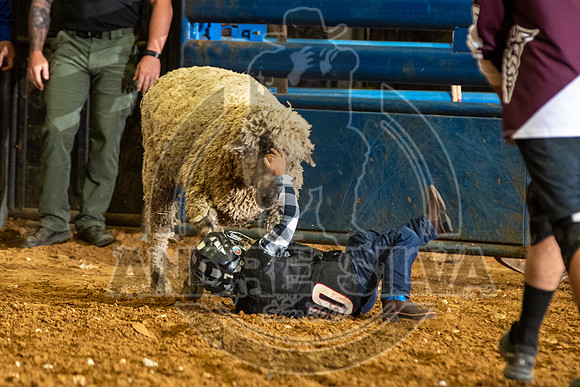 2020_06_13_Mesquite__021_Silva