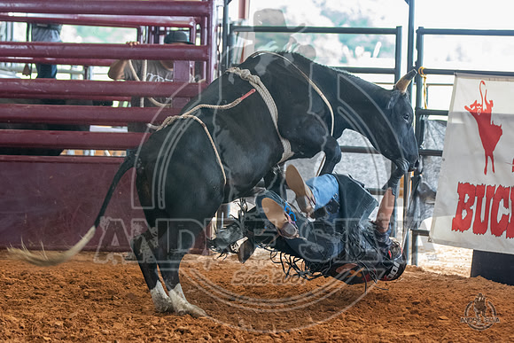 2020_Sep_04_Paulo_Crimber_194