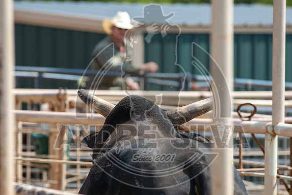 2020_Aug_29_ABBI_023