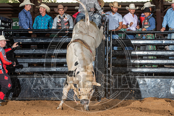 2020_Aug_29_ABBI_076