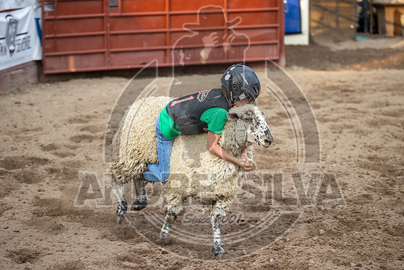24_July_24_Eagle_CO_076