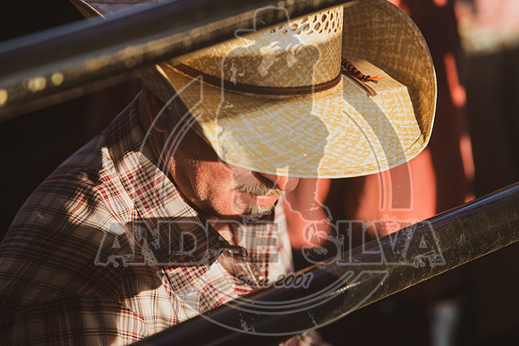 2022_April_15_UBF_124