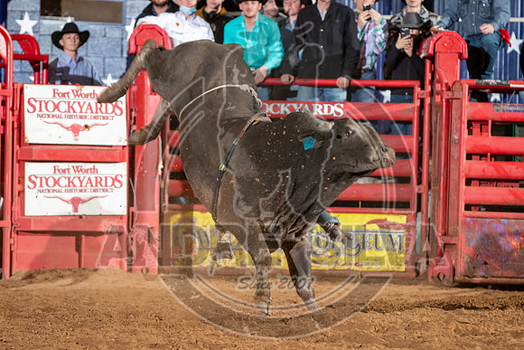 2021_Jan_02_ABBI_462