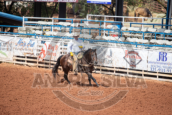2024_July_06_Ranch_Horse_Competition_3784