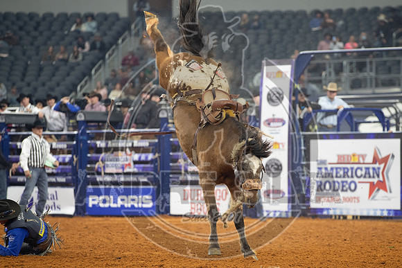 2021_TheAmerican_Saddle Bronc_Rusty Wright_AndreSilva_716