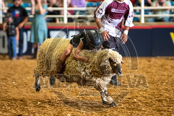 2020_06_13_Mesquite__024_Silva