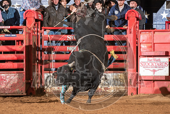 2021_Jan_02_ABBI_481
