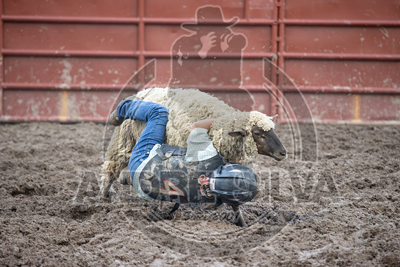2024 Eagle_Mutton busting_2455-AndreSilva