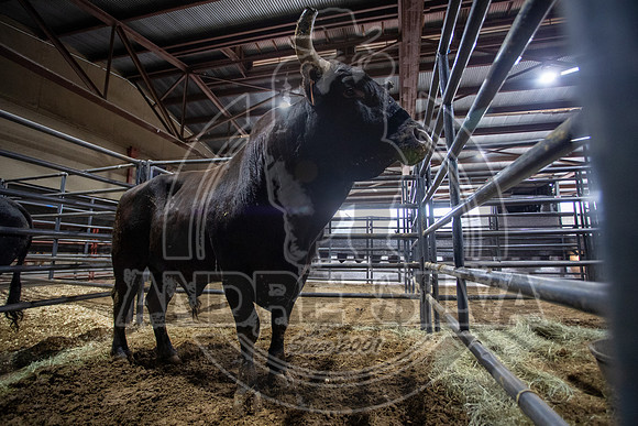 2021_Jan_01_ABBI_014