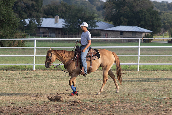 08_05_19_Vieira_Ranch_012_Silva