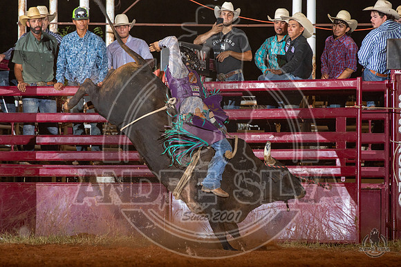 2020_Aug_08_Bridgeport_TX_130