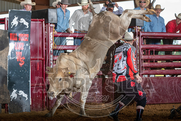 20_May_09_ABBI_020