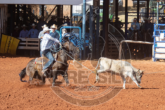 2024_July_02_Team_Roping_100