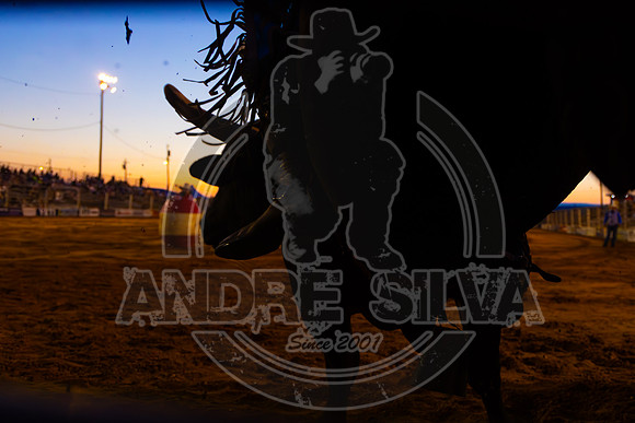 2024 Cowtown Rodeo_R2_R3_XTREME BULLS_AndreSilva_628