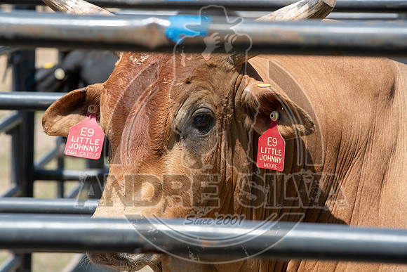 2020_Aug_29_ABBI_012