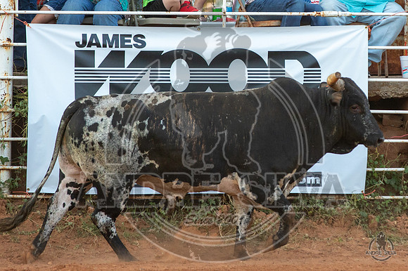 2020_Aug_08_Bridgeport_TX_052
