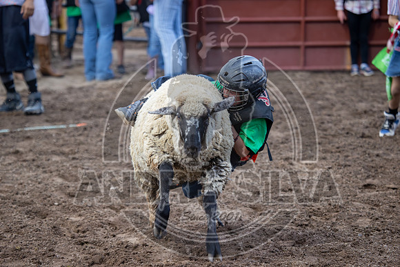 24_July_25_Eagle_CO_029