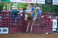 08_18_19_Denton_Bareback_Riding_Hunter Carter_159_Silva