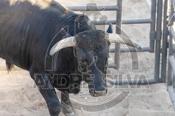 2025_Aug_23_UBF_011