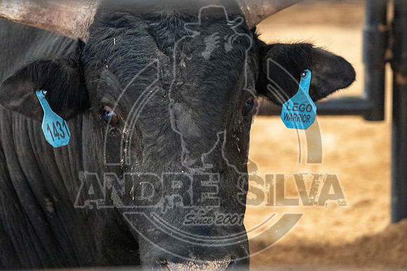 20_May_09_ABBI_287