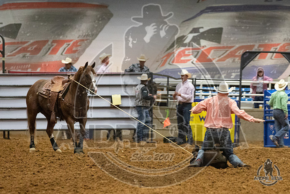 06_29_19_Mesquite_TR__188_Silva
