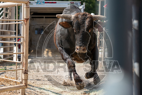 2020_Aug_29_ABBI_031