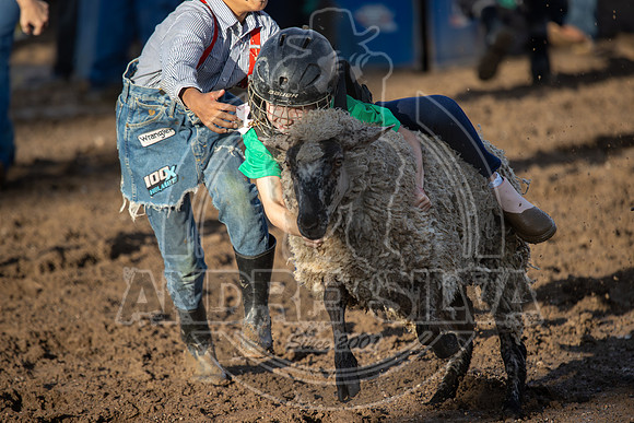 2024 Eagle_Mutton Busting_1578-AndreSilva