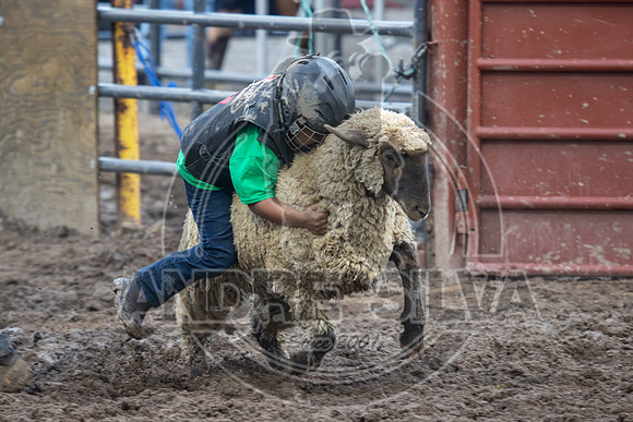 2024 Eagle_Mutton busting_2443-AndreSilva