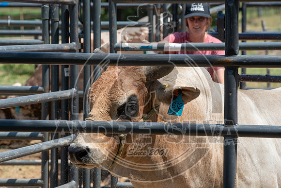2020_Aug_29_ABBI_006