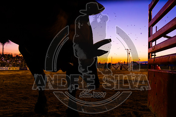2024 Cowtown Rodeo_R2_R3_XTREME BULLS_AndreSilva_620