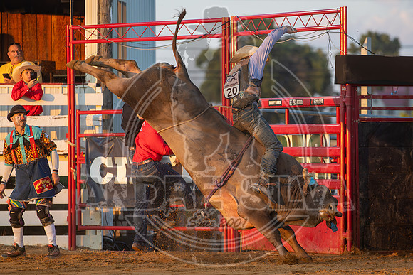 2024 Cowtown Rodeo_R1_XTREME BULLS_-Zack Oberholzer_Blue Duck__AndreSilva_286