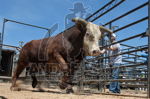2021_May_08_PBR_Cassvile_TX_020