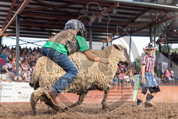 2024 Eagle_Mutton Busting__2597-AndreSilva