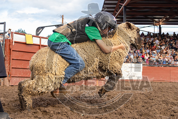 2024 Eagle_Mutton Busting__2591-AndreSilva