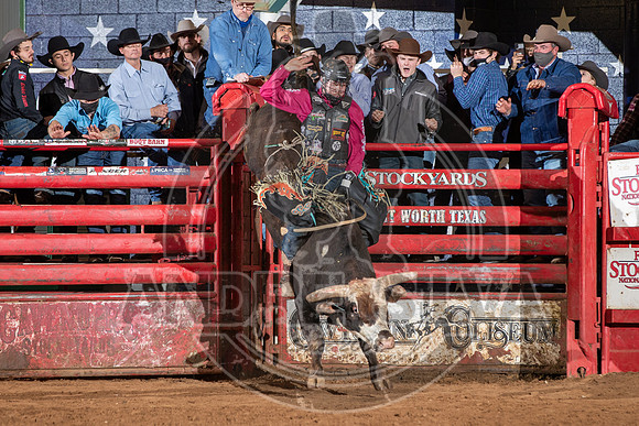 2021_Jan_01_ABBI_310