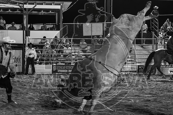 2024 Cowtown Rodeo_R1_XTREME BULLS__AndreSilva_339