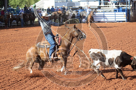 2024_July_02_Team_Roping_024