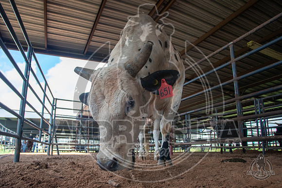 2020_July_18_ABBI_036
