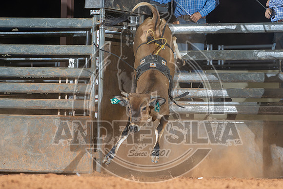 2024_Aug_21_Erick_OK_377
